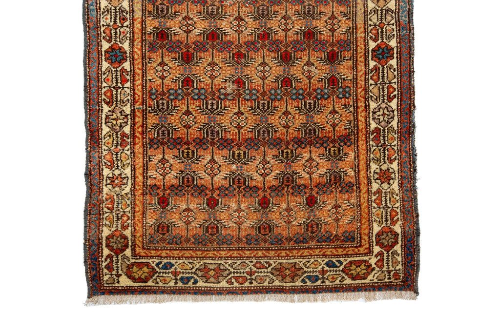 Veramin Runner 3' x 7'4" - SHARKTOOTH Antique and Vintage Textiles